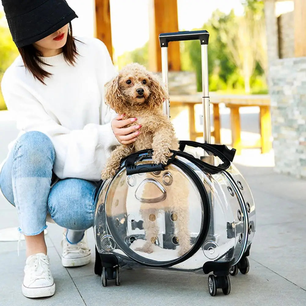 Portable Pet Rolling Carrier With Clear Ventilation And Silent Wheels