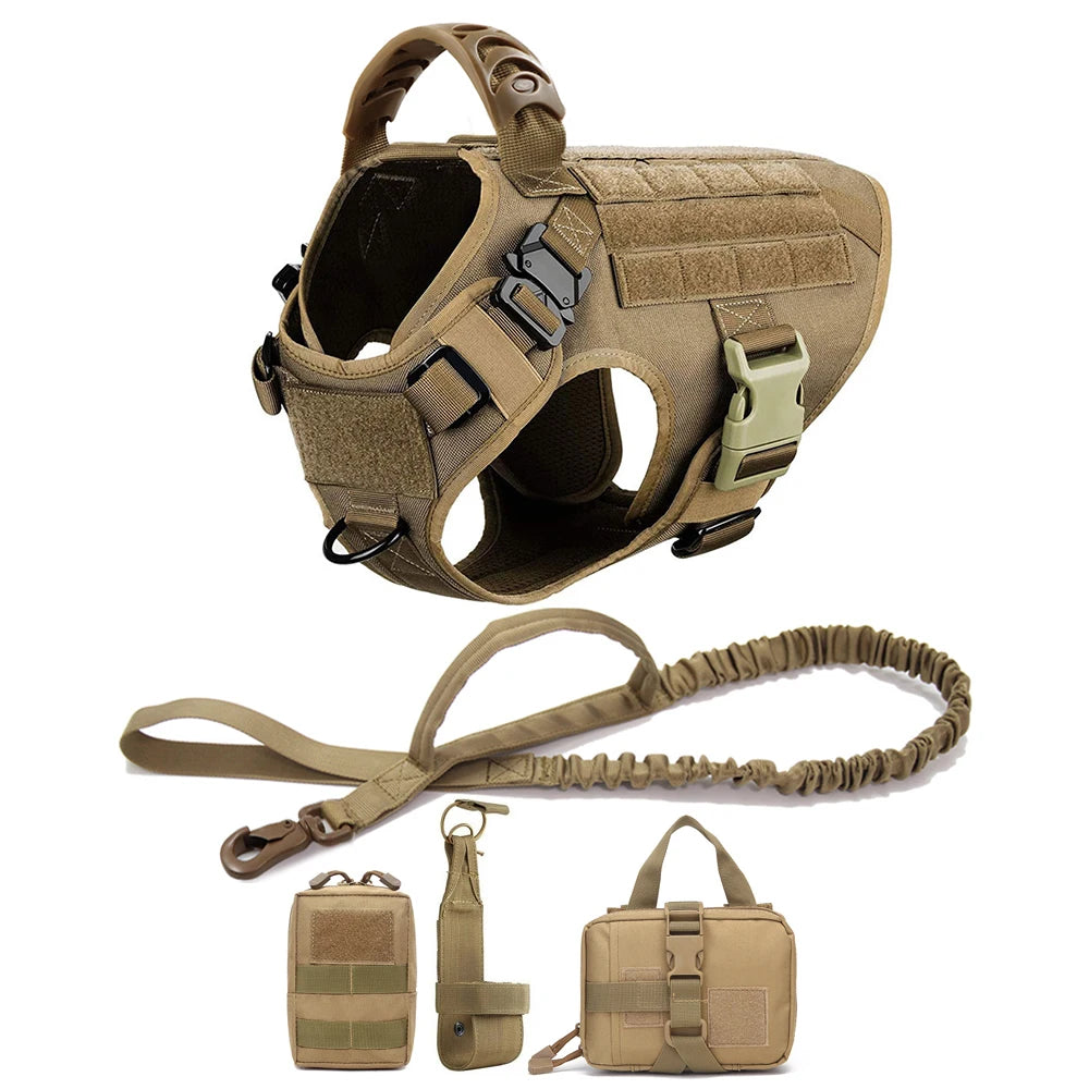 Petravel Padded Nylon Dog Harness And Leash Set For Active Pets
