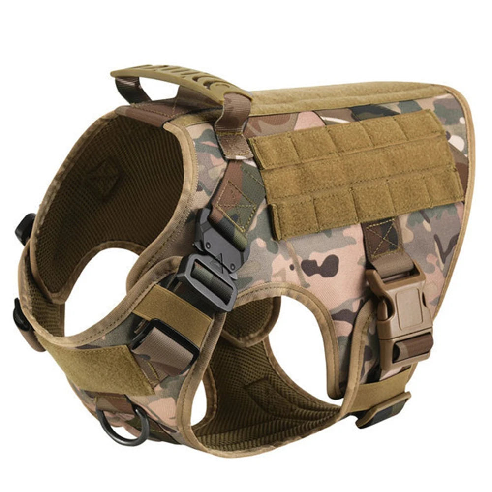 Petravel Padded Nylon Dog Harness And Leash Set For Active Pets