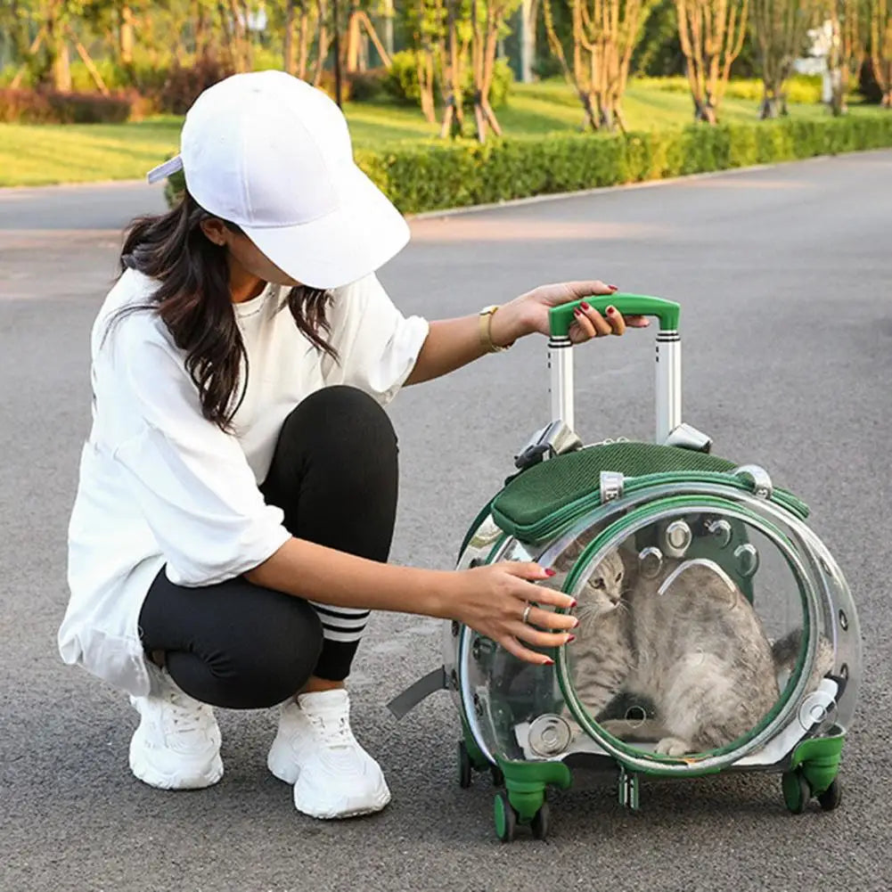 Portable Pet Rolling Carrier With Clear Ventilation And Silent Wheels
