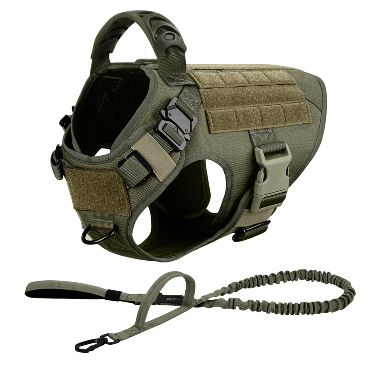 Petravel Padded Nylon Dog Harness And Leash Set For Active Pets