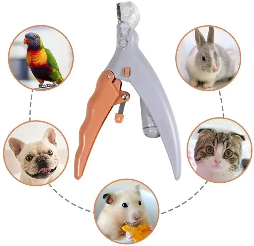Professional Pet Nail Clippers With Led Light For Safe Trimming