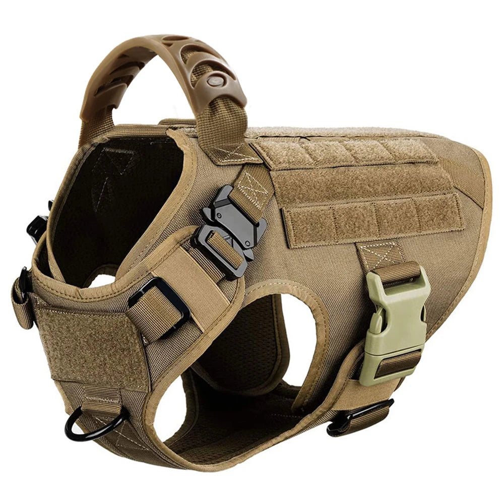 Petravel Padded Nylon Dog Harness And Leash Set For Active Pets