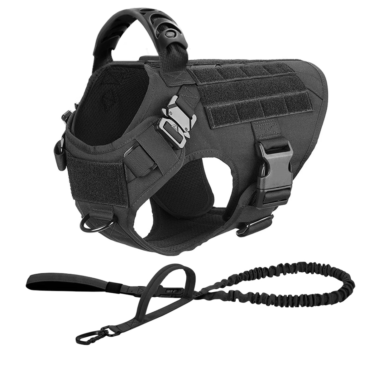 Petravel Padded Nylon Dog Harness And Leash Set For Active Pets