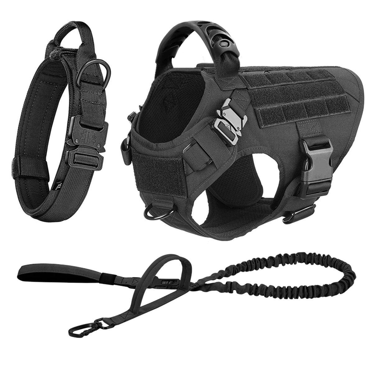 Petravel Padded Nylon Dog Harness And Leash Set For Active Pets
