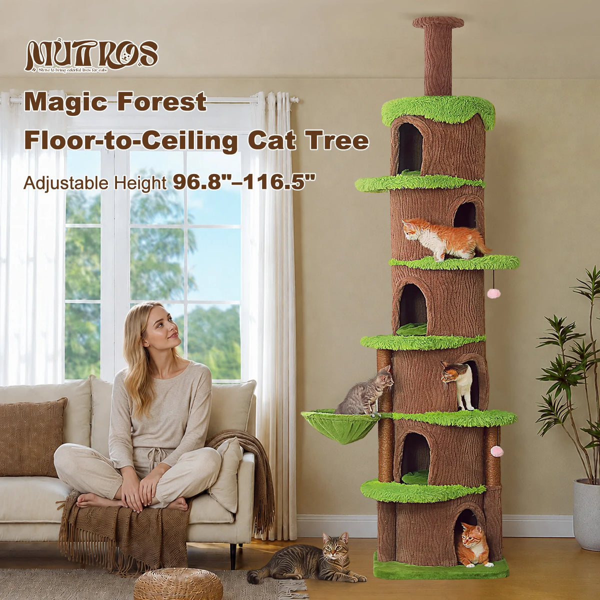 PAWZ Road Floor To Ceiling Cat Tree Condos And Hammock