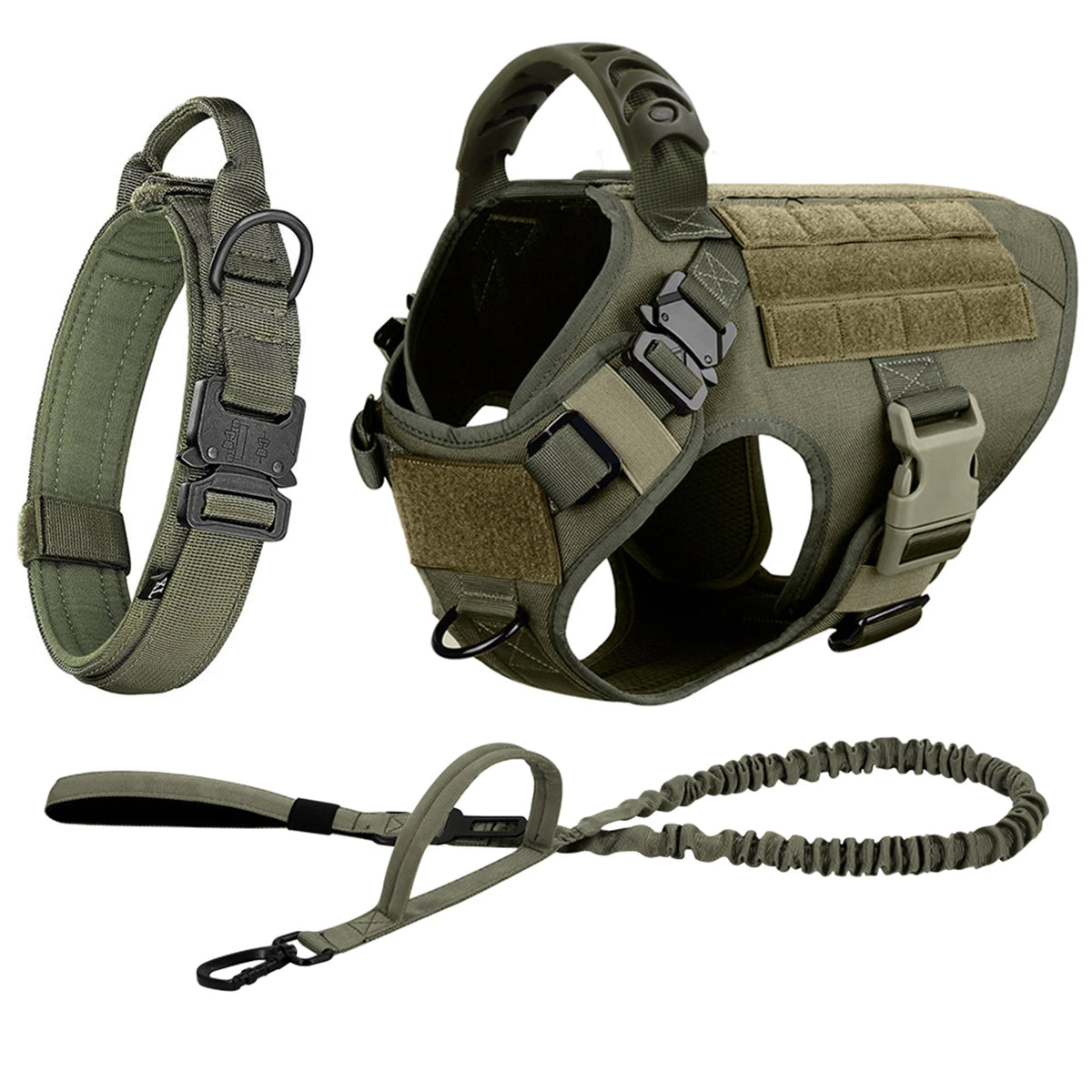 Petravel Padded Nylon Dog Harness And Leash Set For Active Pets